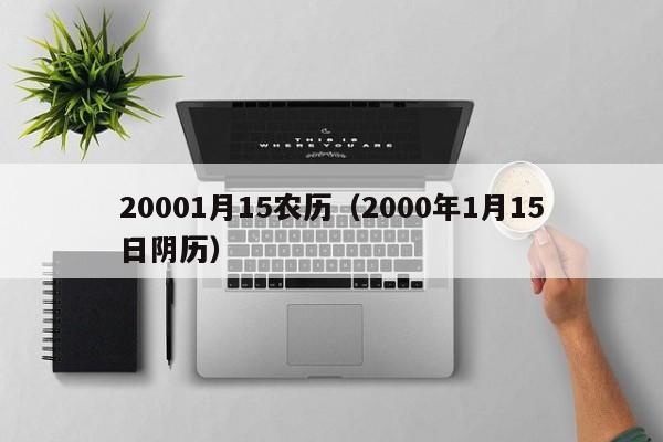 20001月15农历（2000年1月15日阴历）