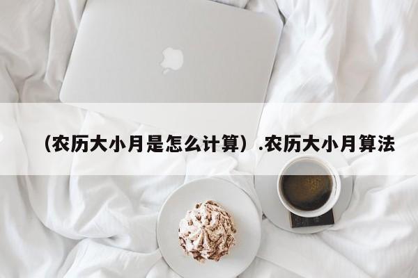 （农历大小月是怎么计算）.农历大小月算法