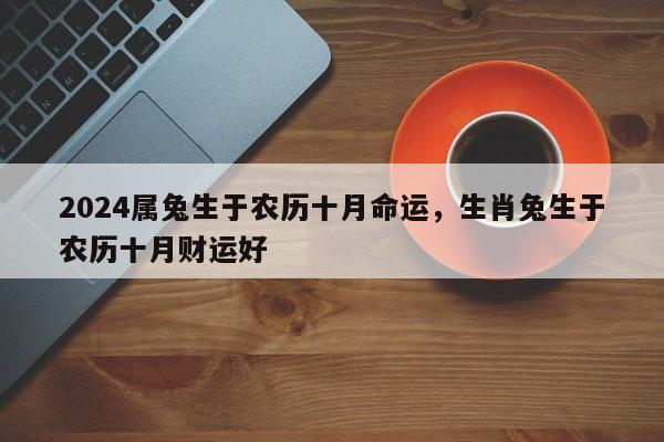 2024属兔生于农历十月命运，生肖兔生于农历十月财运好
