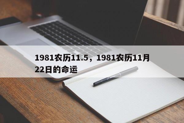 1981农历11.5，1981农历11月22日的命运