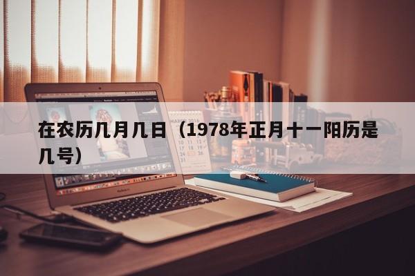 在农历几月几日（1978年正月十一阳历是几号）
