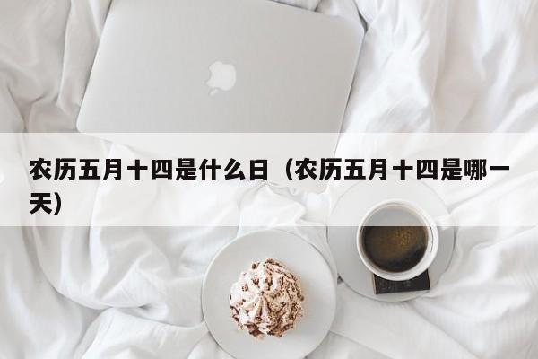 农历五月十四是什么日（农历五月十四是哪一天）