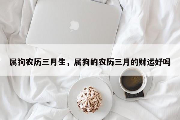 属狗农历三月生，属狗的农历三月的财运好吗