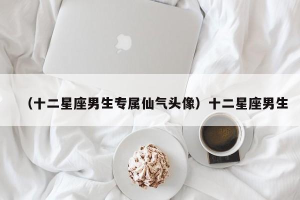 （十二星座男生专属仙气头像）十二星座男生