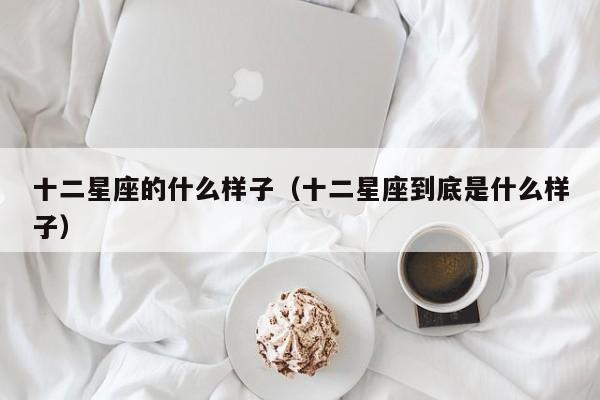 十二星座的什么样子（十二星座到底是什么样子）