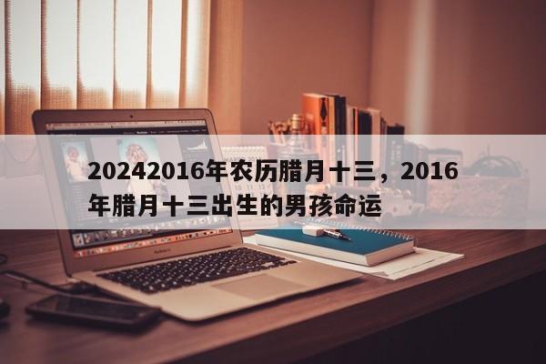 20242016年农历腊月十三，2016年腊月十三出生的男孩命运