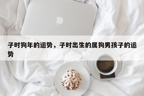 子时狗年的运势，子时出生的属狗男孩子的运势