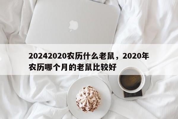 20242020农历什么老鼠，2020年农历哪个月的老鼠比较好
