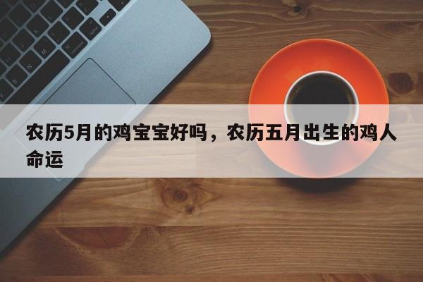 农历5月的鸡宝宝好吗，农历五月出生的鸡人命运