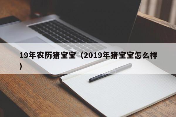 19年农历猪宝宝（2019年猪宝宝怎么样）
