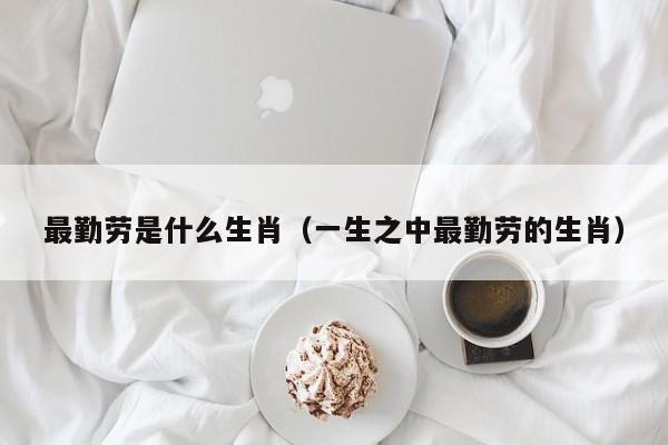 最勤劳是什么生肖（一生之中最勤劳的生肖）