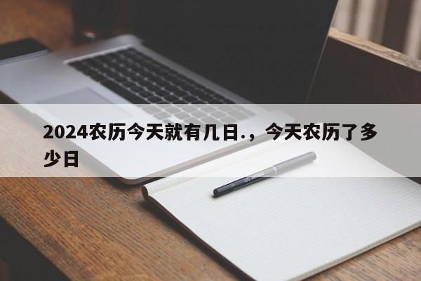 2024农历今天就有几日.，今天农历了多少日
