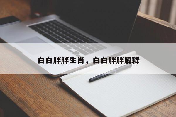 白白胖胖生肖，白白胖胖解释