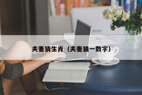 夫妻猜生肖（夫妻猜一数字）