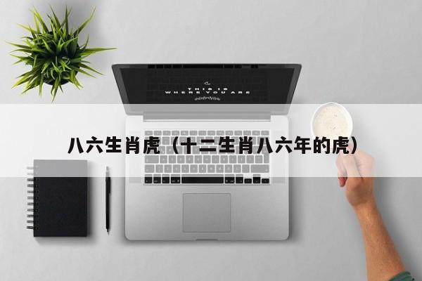 八六生肖虎（十二生肖八六年的虎）