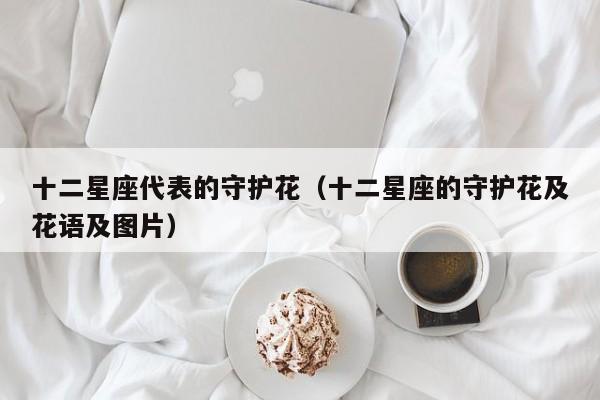 十二星座代表的守护花（十二星座的守护花及花语及图片）