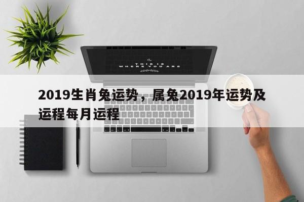 2019生肖兔运势，属兔2019年运势及运程每月运程