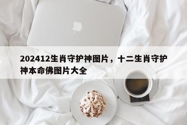 202412生肖守护神图片，十二生肖守护神本命佛图片大全