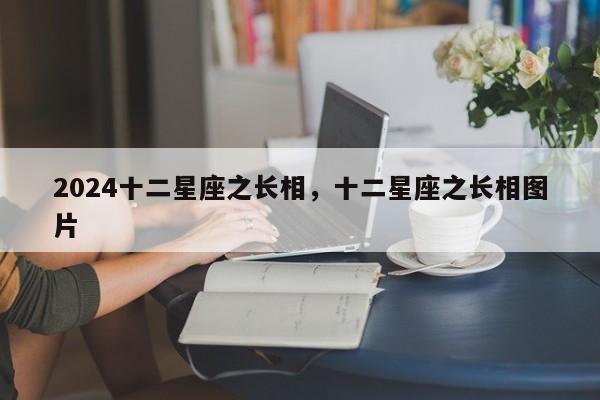 2024十二星座之长相，十二星座之长相图片