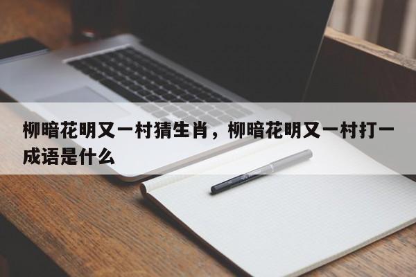 柳暗花明又一村猜生肖，柳暗花明又一村打一成语是什么